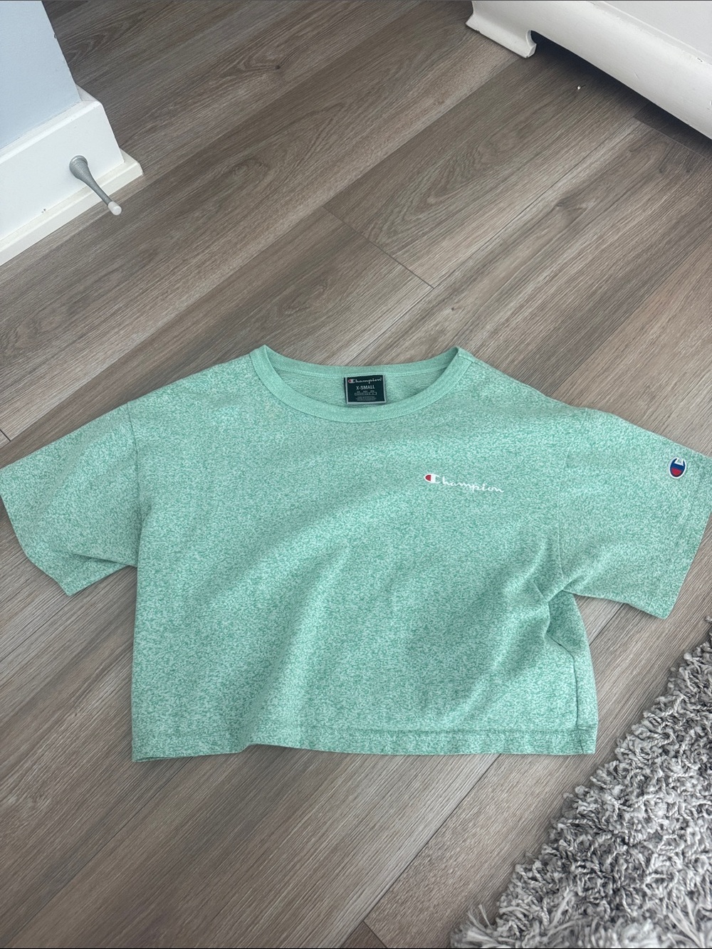 Champion Seafoam Green Cropped Tee